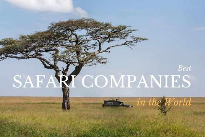 The World's Best Safari Companies - African Tour Operators