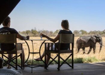 Couples and Honeymooners | Romantic Honeymoon Safaris, SAFARI FRANK